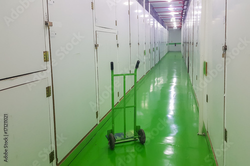 Wallpaper Mural Long corridor, green floor and cart, self-storage facilities interior, units with locks on both sides Torontodigital.ca