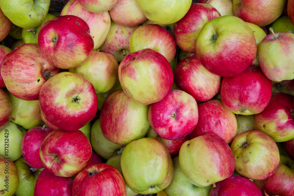 Top view of green-red apples. Apples background texture Top view of green-red apples. Apples background texture