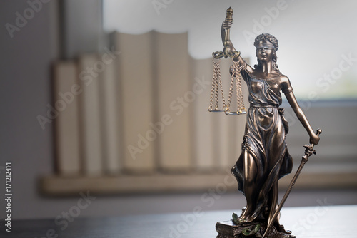 Photography Law.