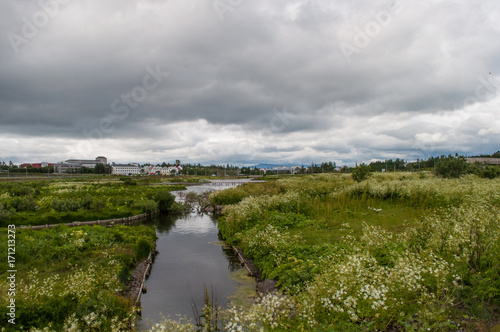 meadow in Reykjavik in Iceland