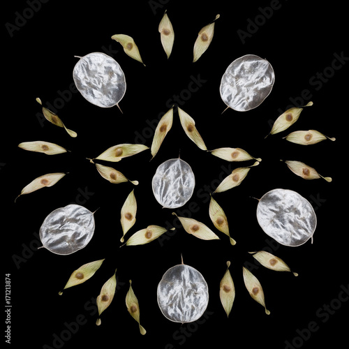 Pattern of unusual leaves with a tip isolated on a black background. Texture of silver leaves. Ekostyle, natural materials. Autumn theme. Print for T-shirts and textile materials.