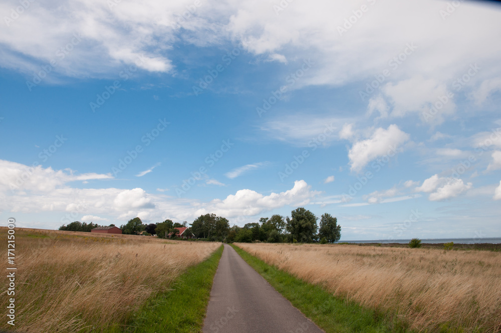 road leading to village of Naesby on Oroe in Denmark