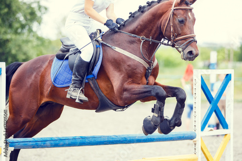 Bay horse with rider jumping over obstacle on show jumping competition