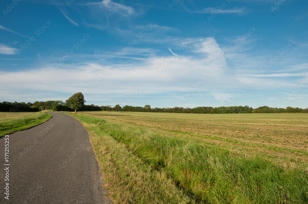Obraz premium Danish countryside road near Ugledige in Denmark
