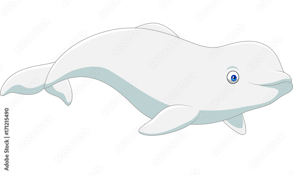 Obraz premium Cartoon beluga isolated on white background