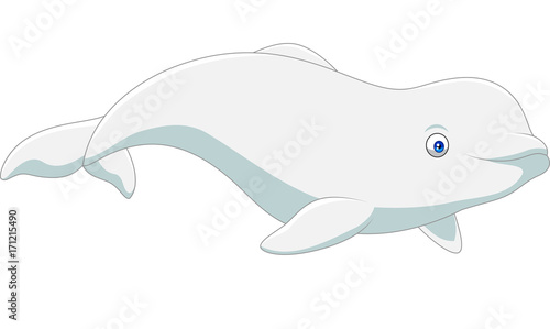 Cartoon beluga isolated on white background