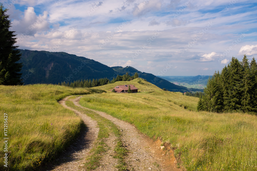 Bavarian Alps with mountain view and meadows in the Allgau Bavarian Alps with mountain view and meadows in the Allgau