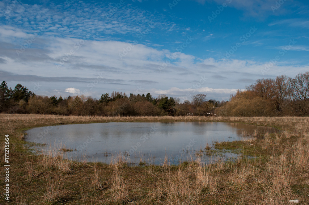 A pond in a Danish field