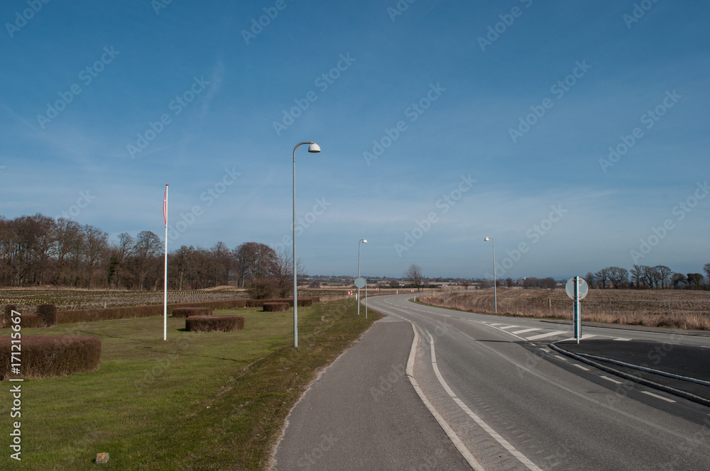 A Road in The Danish landscape