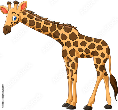 Cartoon giraffe isolated on white background