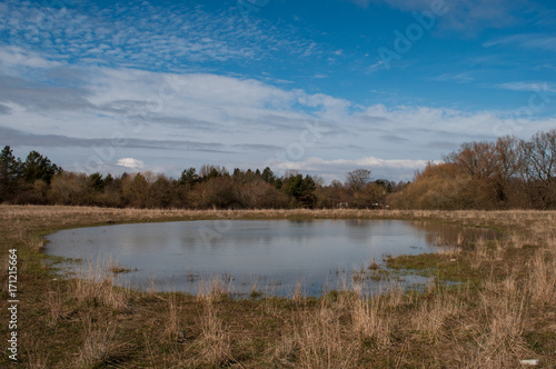 A pond in a Danish field