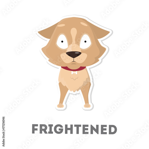 Isolated frightened dog.