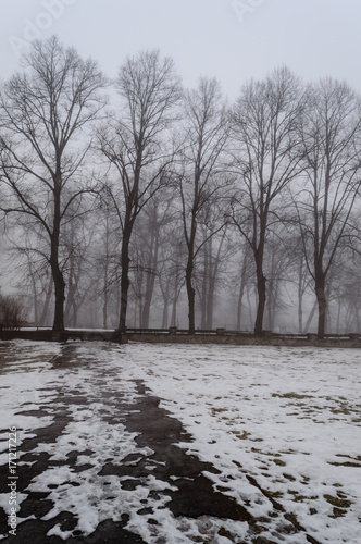 snowy winter city park in mist