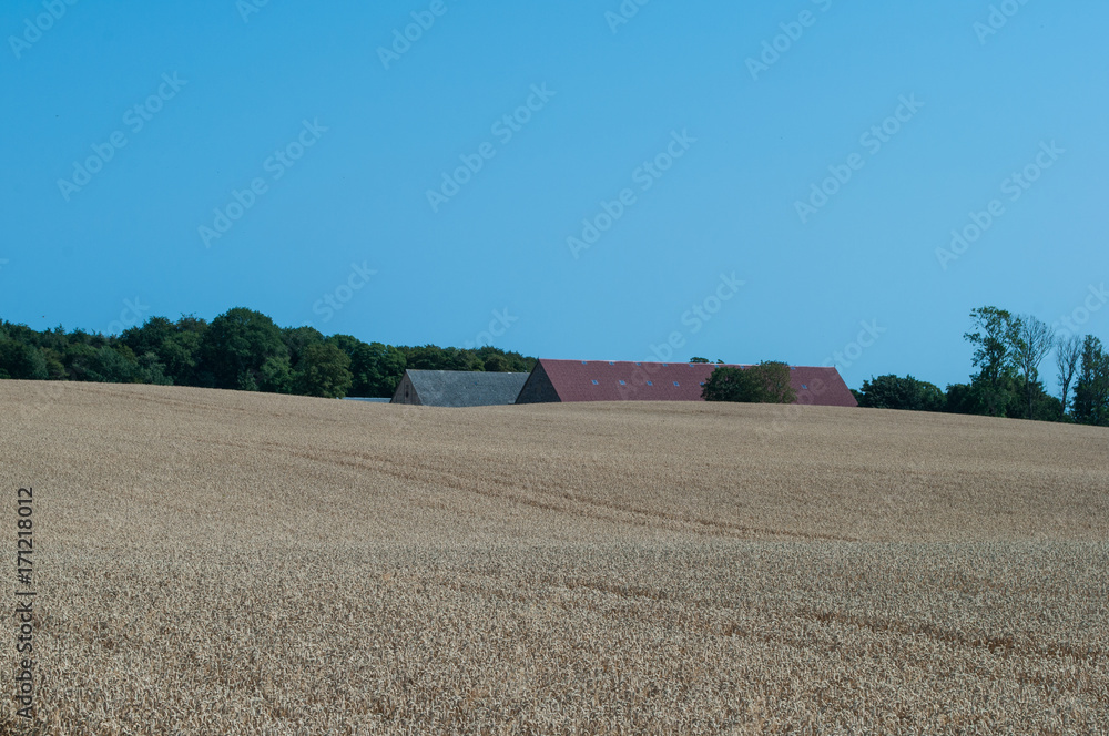 Field outside of Vordingborg in Denmark Field outside of Vordingborg in Denmark