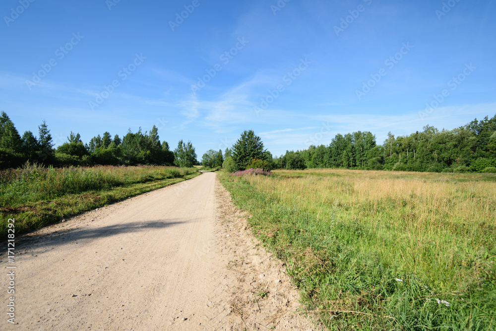 country road in forest