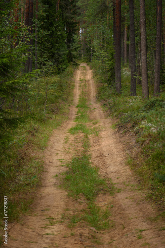 country road in forest © Martins Vanags
