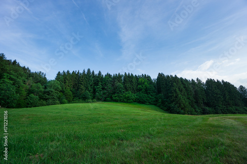Germany - Edge of the black forest with green meadows at dawn with blue sky
