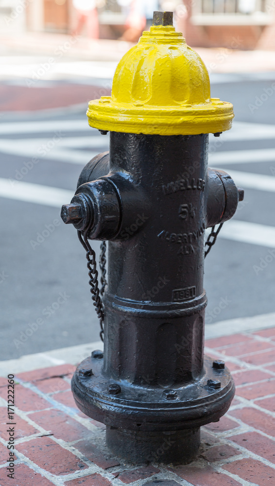 Yellow and Black Fire Hydrant in Boston MA Yellow and Black Fire Hydrant in Boston MA