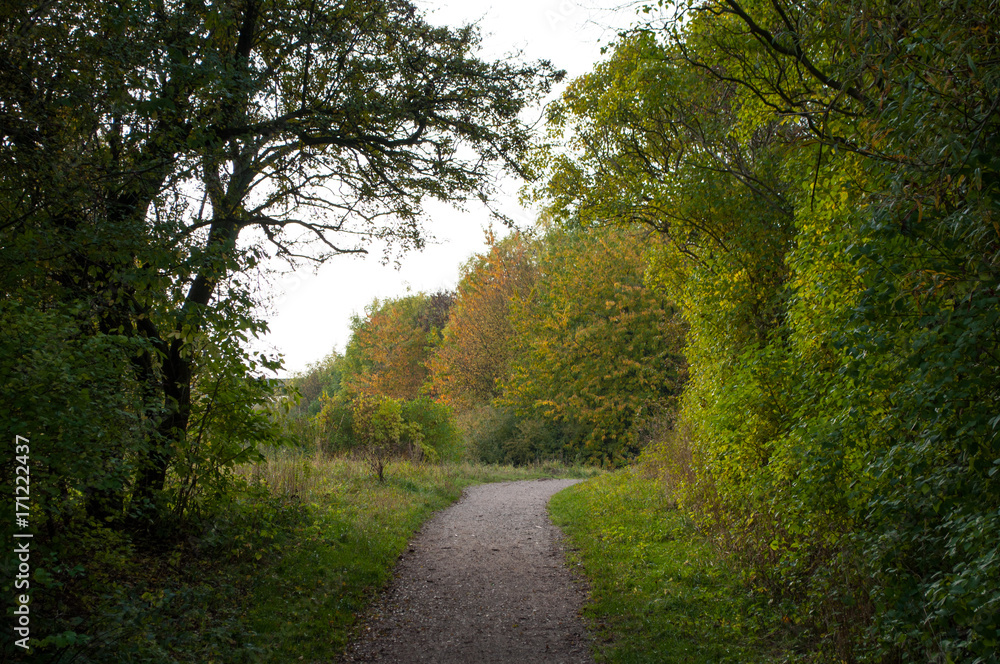 fall in danish countryside