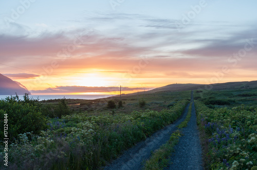 road to the sunset on island of Hrisey in Iceland