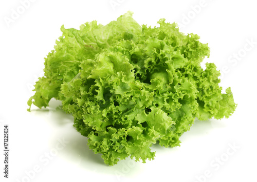 Fresh lettuce isolated on white background. Salad leaf