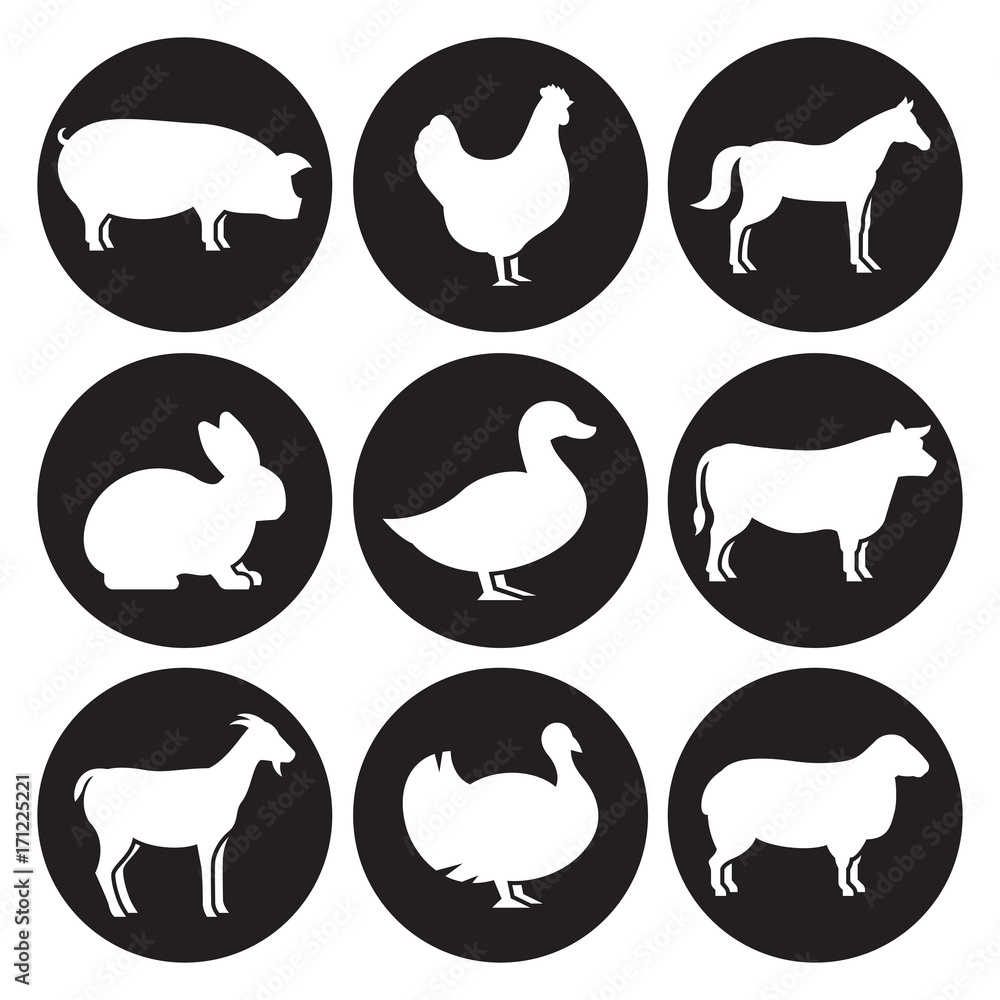 Obraz premium Farm animals silhouettes icons set