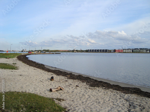 Beach of Egholm near Aalborg in Denmark