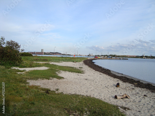 Wallpaper Mural Beach of Egholm near Aalborg in Denmark Torontodigital.ca