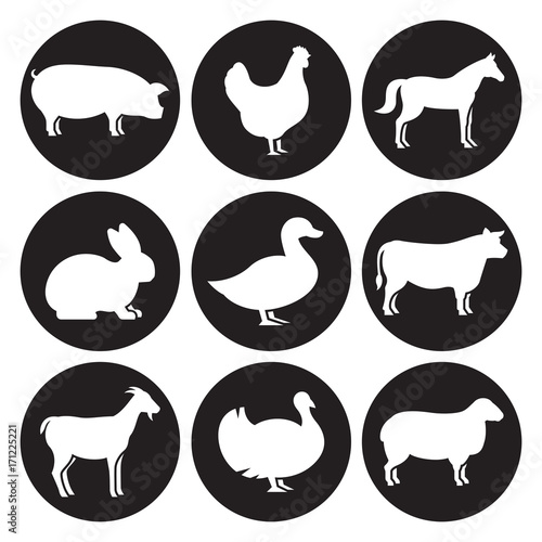 Farm animals silhouettes icons set