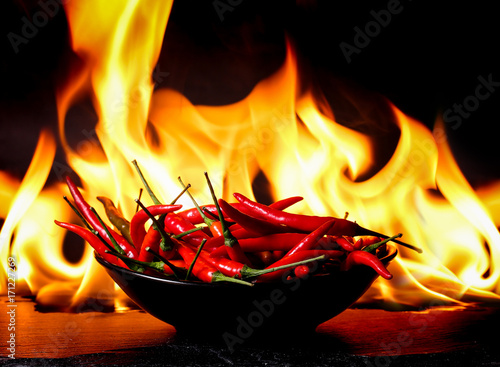 hot chilli on burning fire background