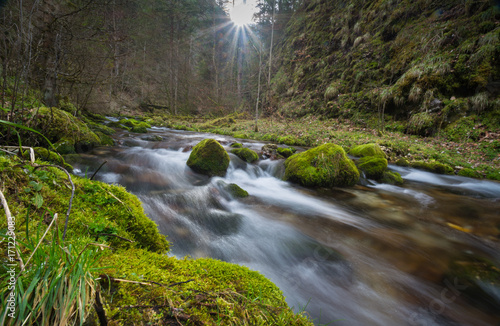 Torrent