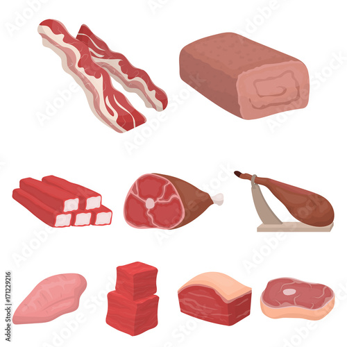 Meats set icons in cartoon style. Big collection of meats vector symbol stock illustration