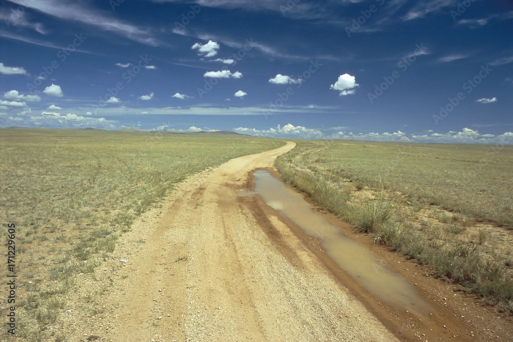 Obraz premium Steppenpiste zum Gobi-Altai, Mongolei