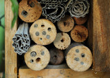 detail of insect hotel with holes in the wood sealed by solitary bees
