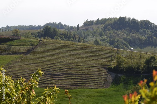 Langhe