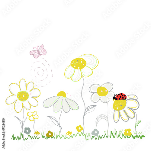 Spring time daisies. Daisy and lady bird greeting card background