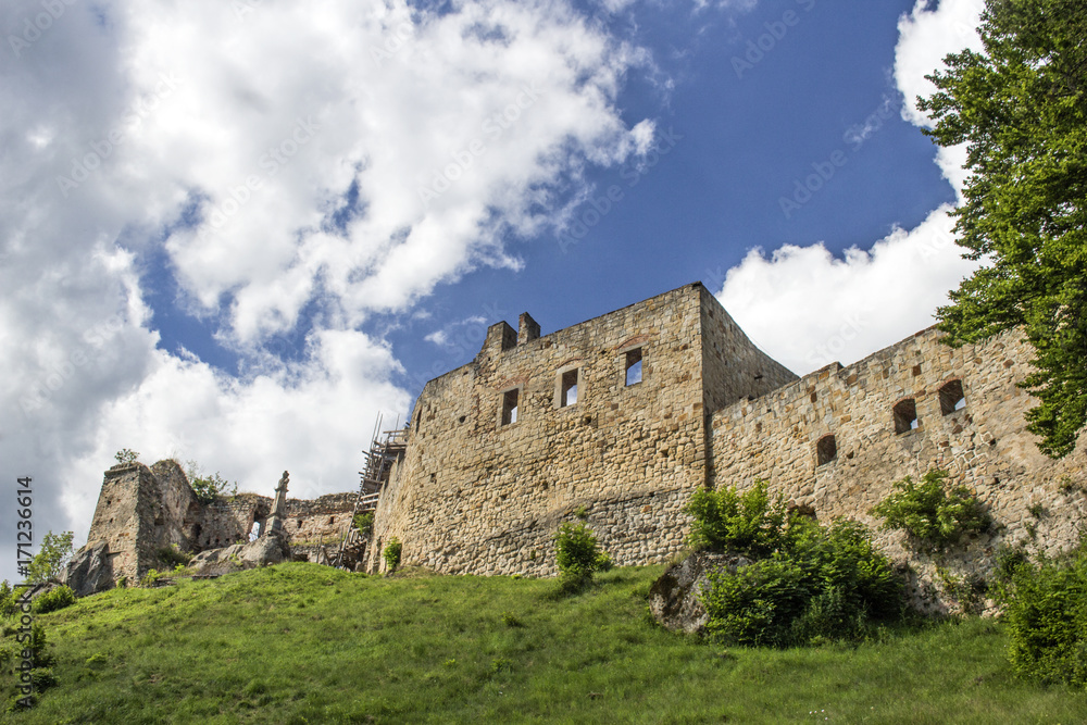 ruins of gothic reinessance Kamieniec castle, Korczyna, Odrzykon, Krosno, Poland - obrazy, fototapety, plakaty 