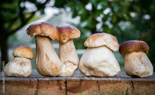 Boletus mushrooms on old wooden table