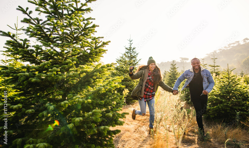 Young couple enjoying a winter day between Christmas trees. Young couple enjoying a winter day between Christmas trees.