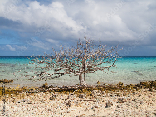 Südsee atoll mit Traumstran...