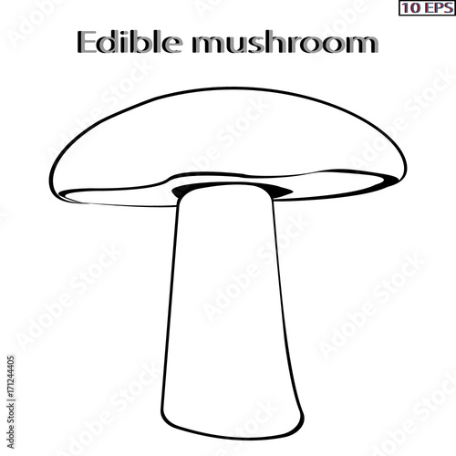 Mushrooms. Black icon. Set mushrooms. Edible fungus. Illustration to culinary sites or cook book. Recipe mushrooms, vegetarian menu, kitchen interior design. Vector illustration.