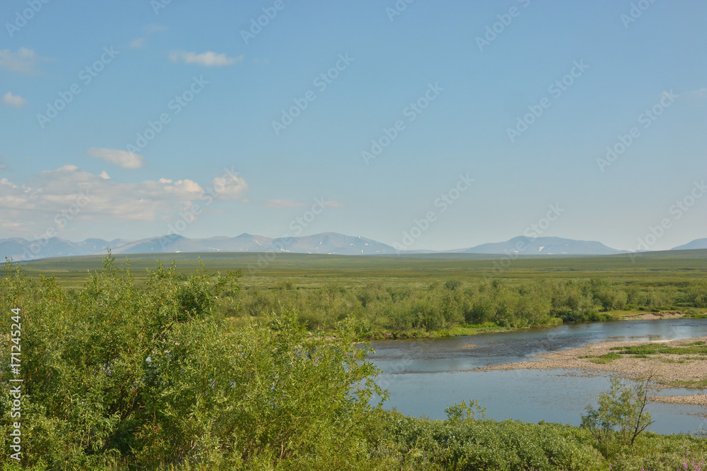 Tundra in the Polar Urals and the Main Ural Range. Tundra in the Polar Urals and the Main Ural Range.
