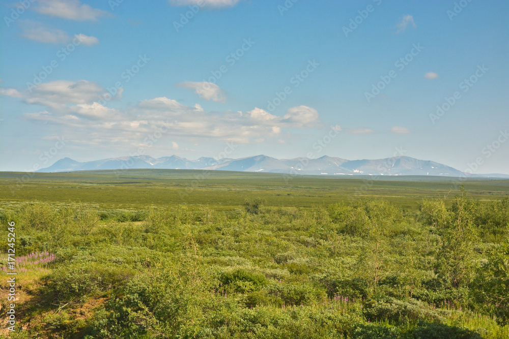 Tundra in the Polar Urals and the Main Ural Range.