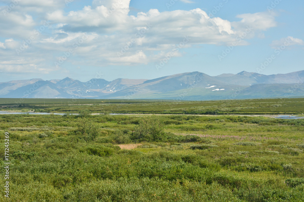 Tundra in the Polar Urals and the Main Ural Range. Tundra in the Polar Urals and the Main Ural Range.