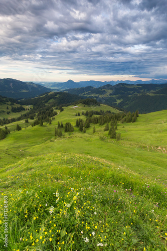 Bavarian Alps with mountain view and meadows in the Allgau