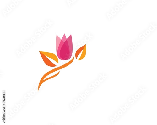Beauty Vector Lotus flowers design logo Template icon