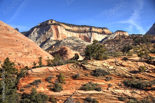 Layered Sandstone of East Zion