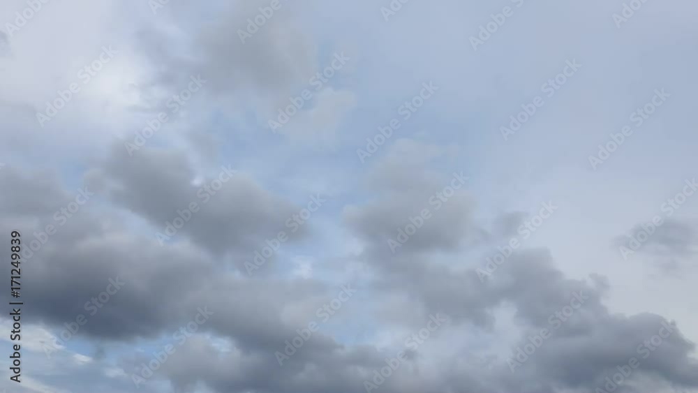 夕方になり、灰色の雲がだんだん覆っていきます。鳥達も忙しそうです。 夕方になり、灰色の雲がだんだん覆っていきます。鳥達も忙しそうです。