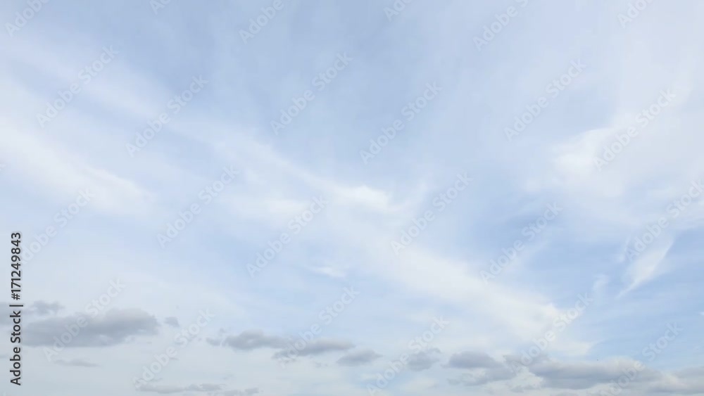 薄い雲。鳥が斜めに一瞬通り過ぎます。 薄い雲。鳥が斜めに一瞬通り過ぎます。