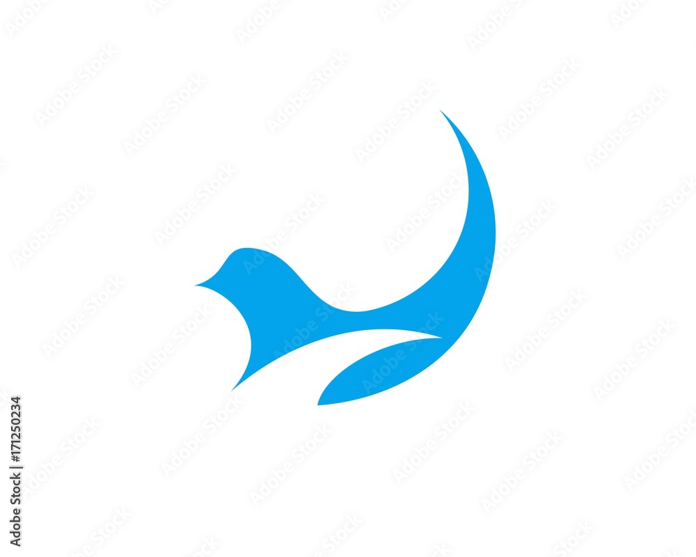 Obraz premium Bird Wing Negative Space